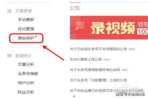 头条号创作者成长经历,我的成长之路